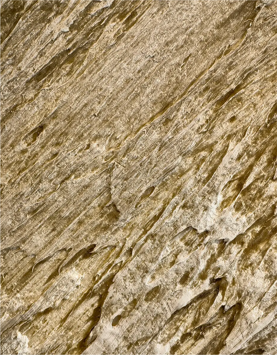 рычков никита фото