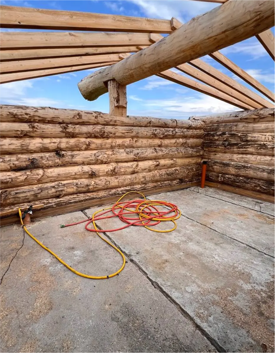 товескин денис фото