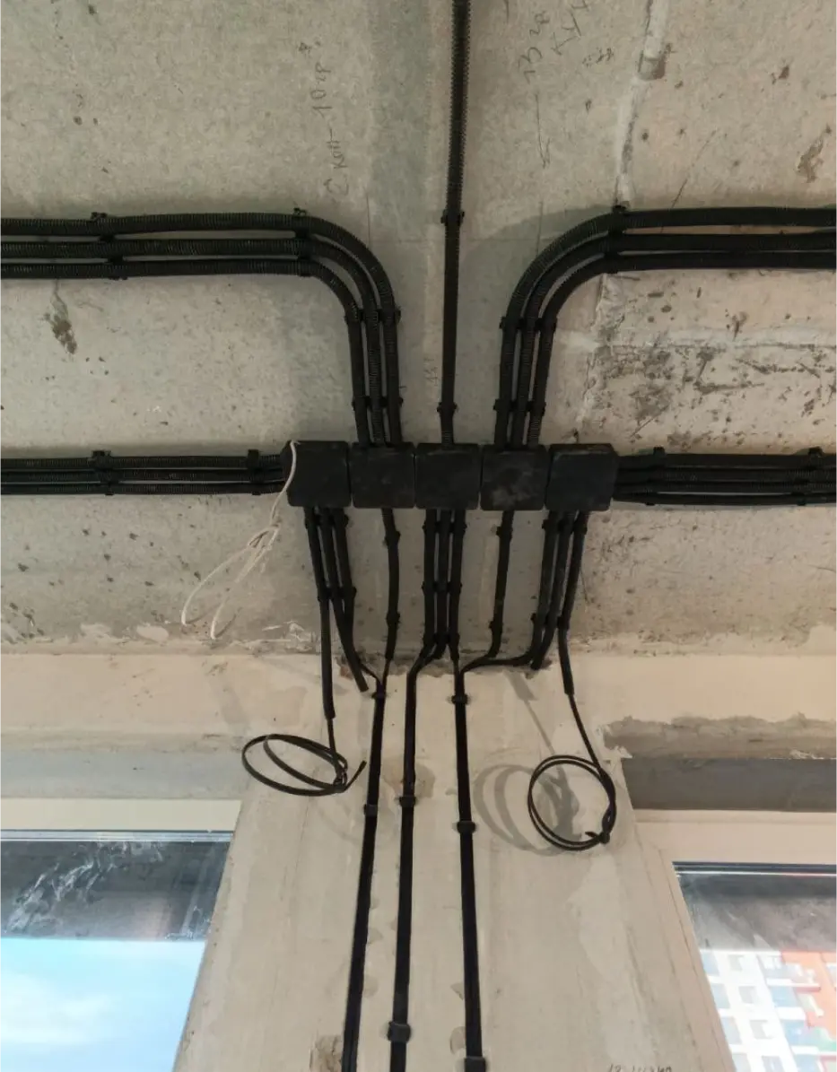 солодовников фото