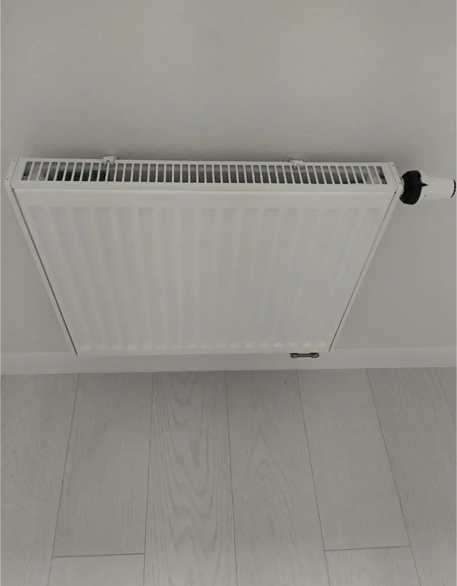 сайфутдинов фото