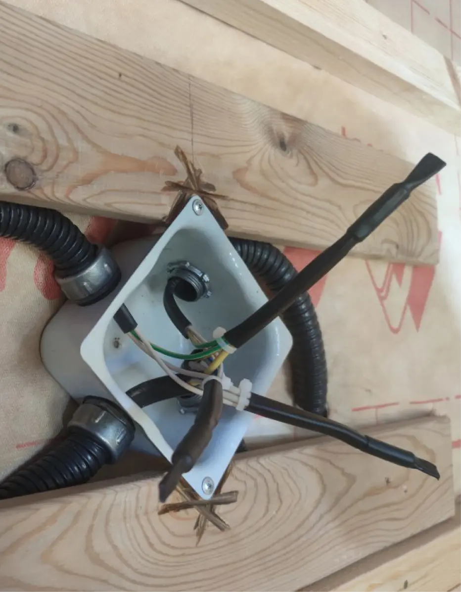 рогов роман фото