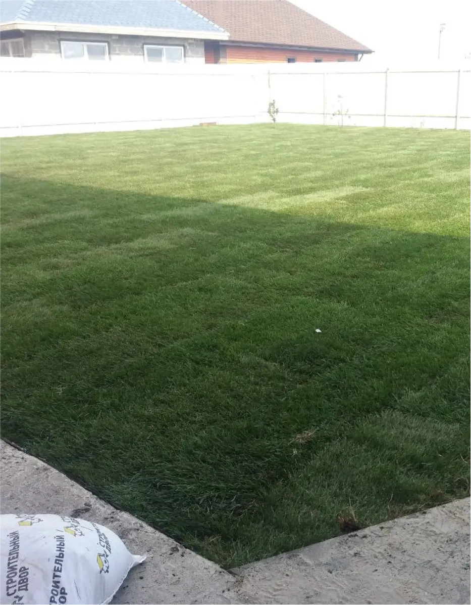 аброян варужан фото