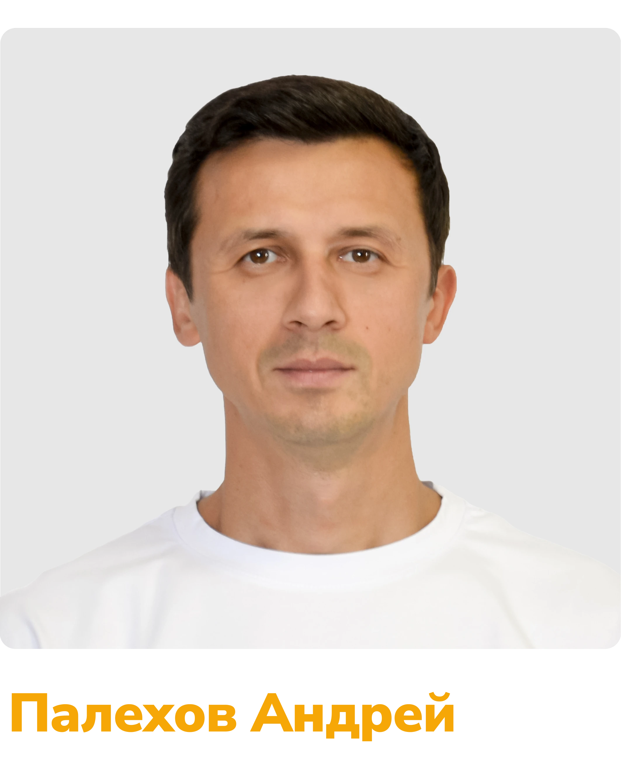 палехов