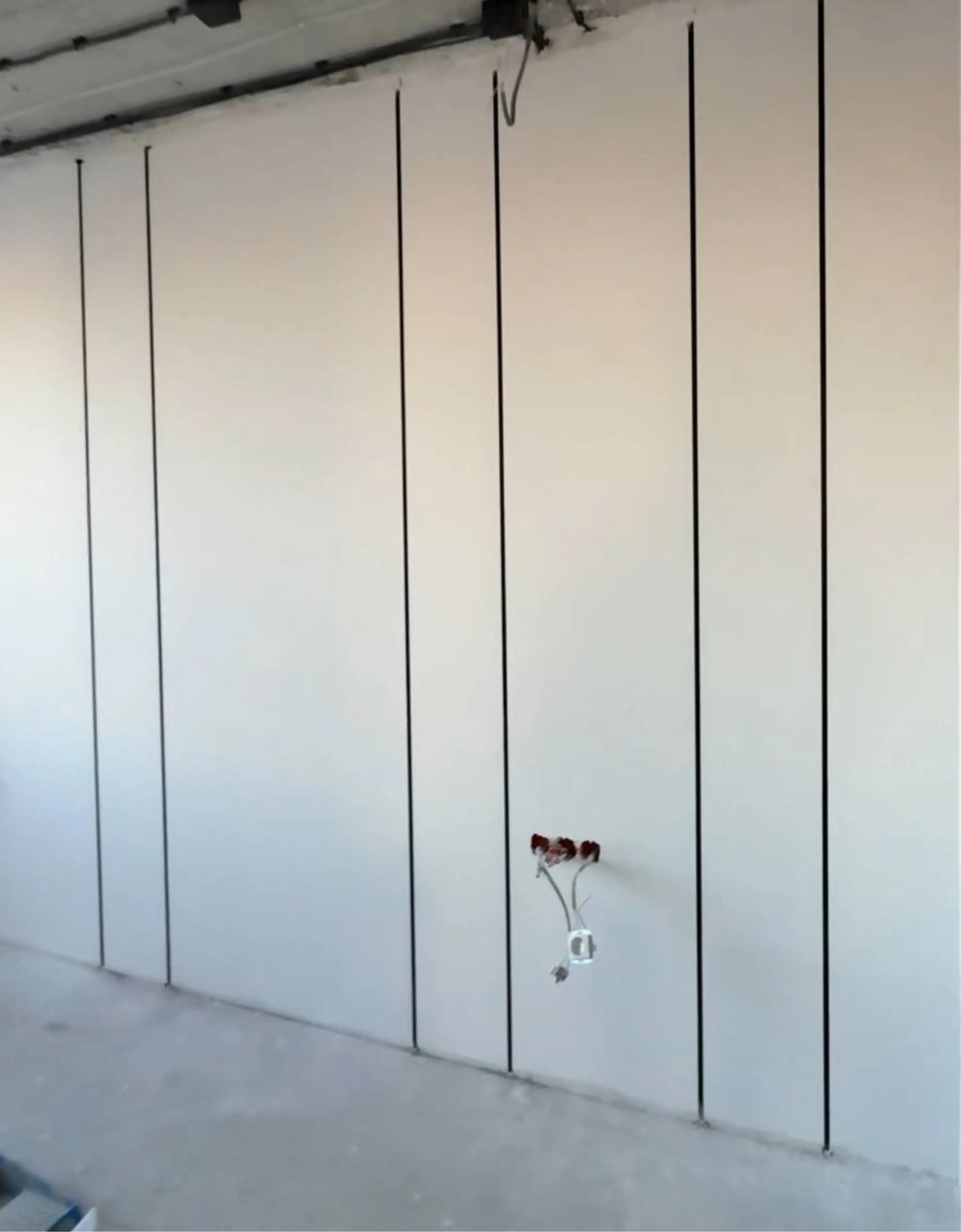 Асташонок Константин фото