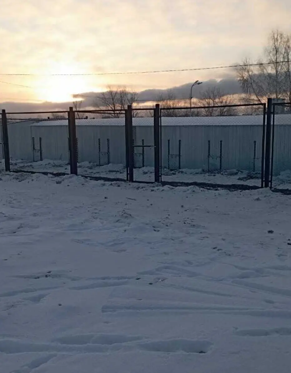 григорян ардаваст фото