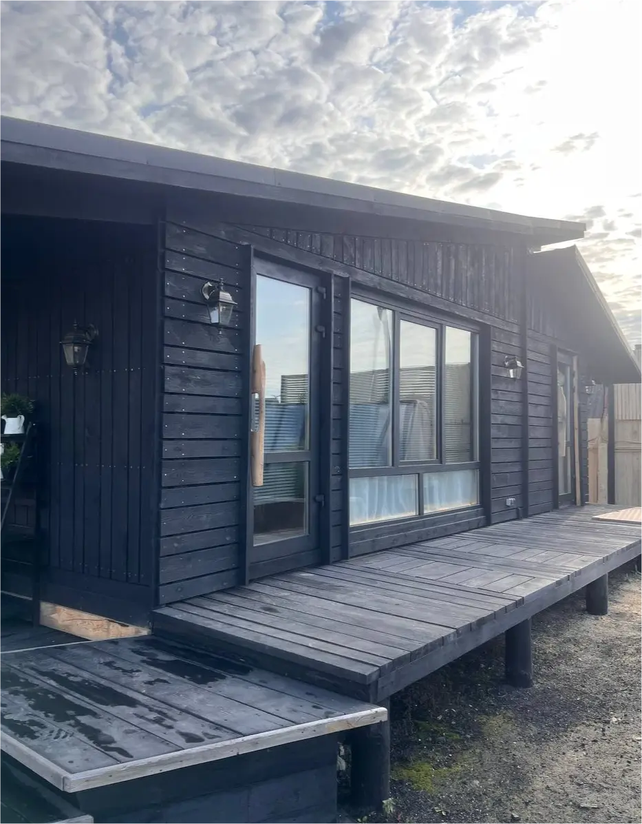 товескин денис фото