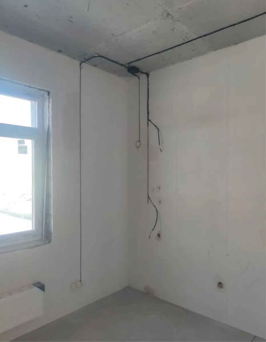 рогов роман фото