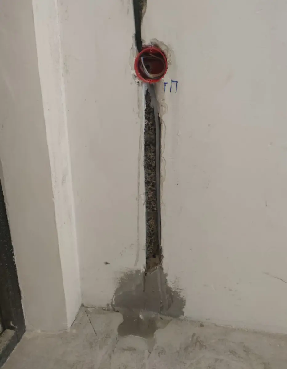 рогов роман фото