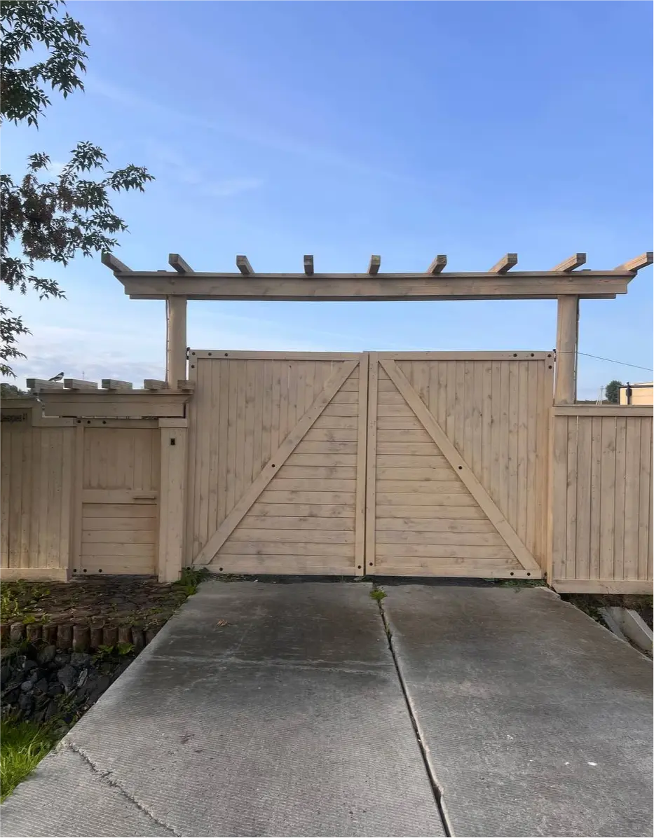 товескин денис фото