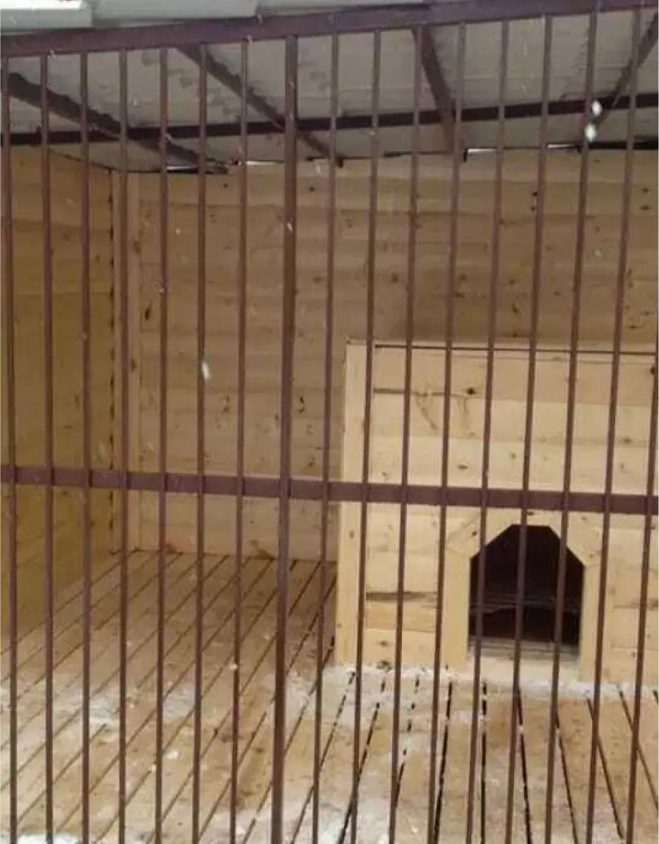 григорян ардаваст фото