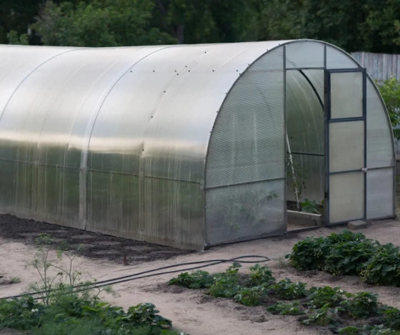 как выбрать теплицу