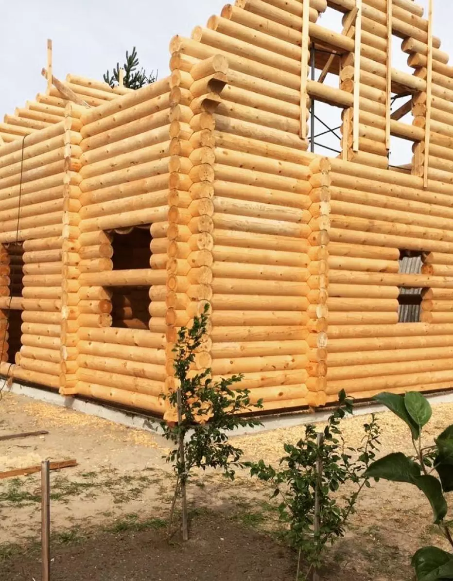 Константинов фото