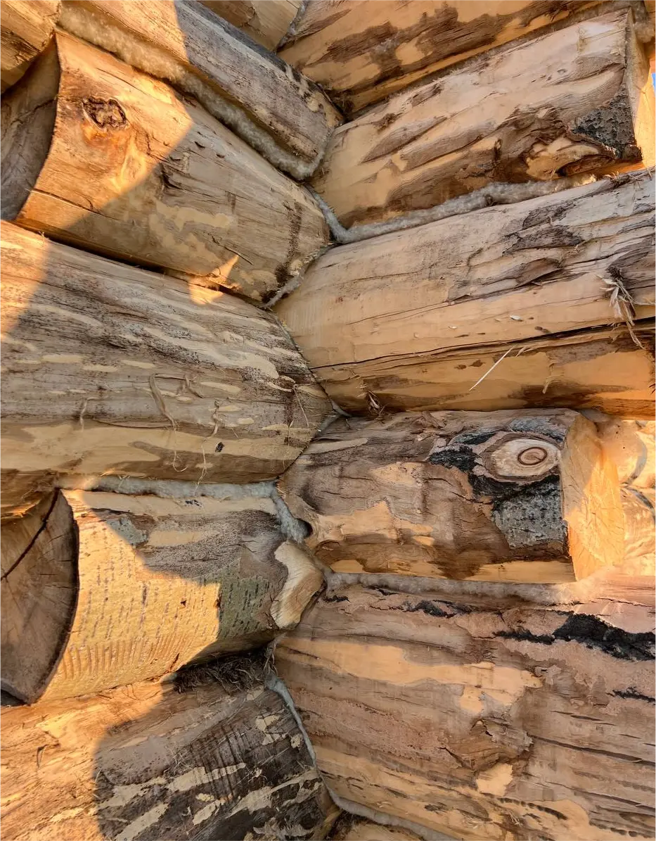 товескин денис фото