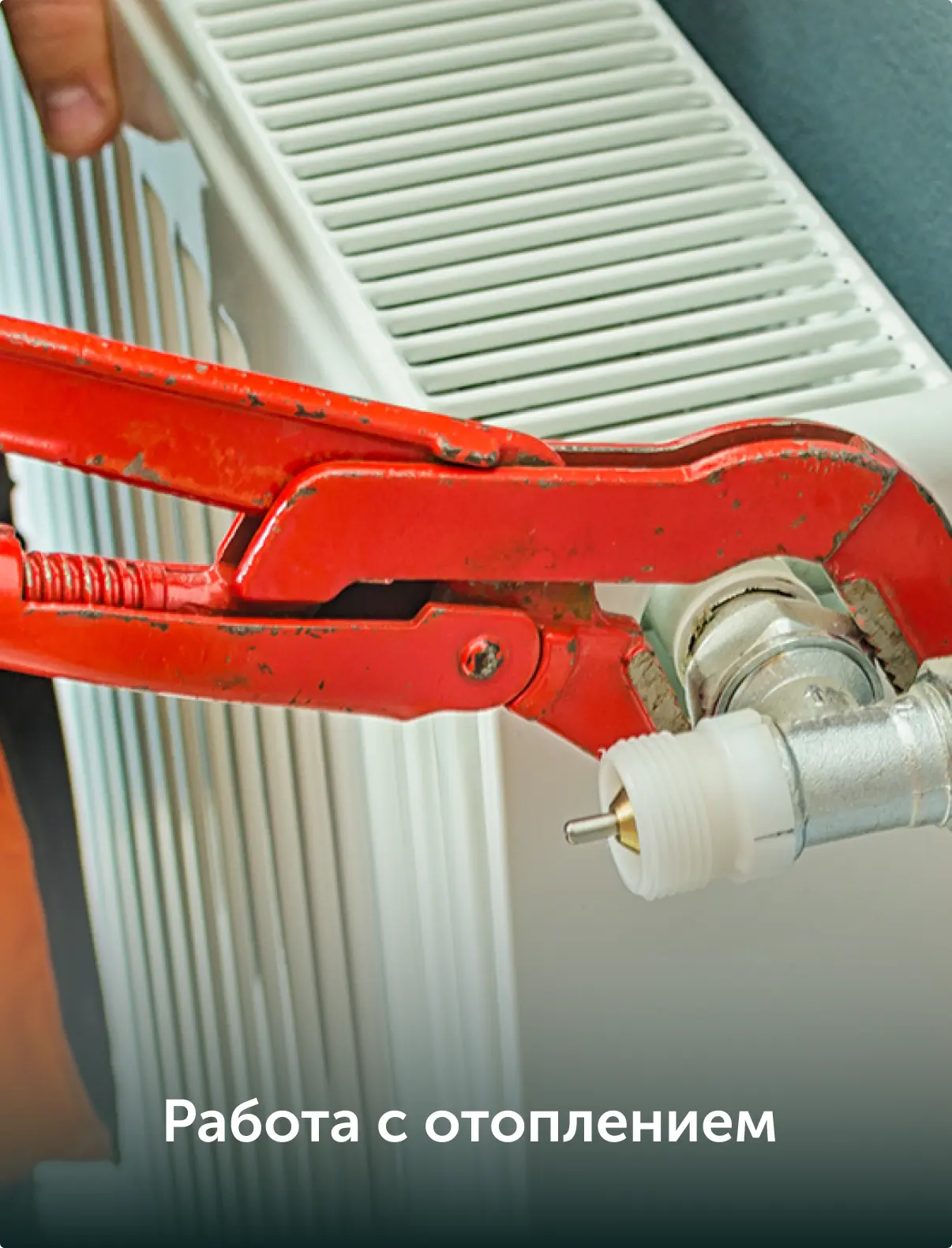 AnyConv.com__Frame 1430101650.webp