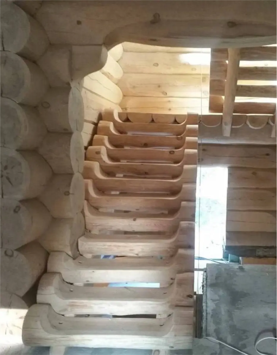 товескин денис фото