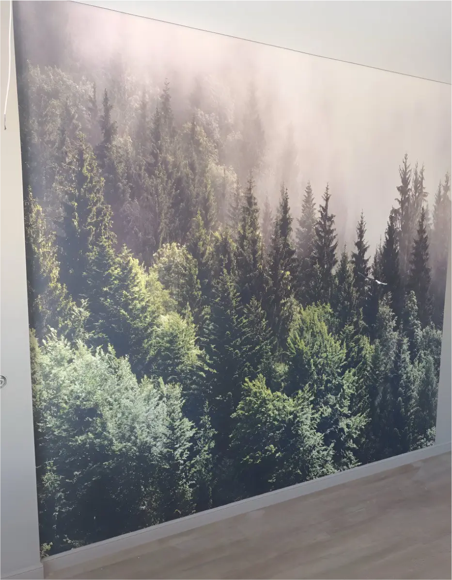 афанасьев дмитрий фото