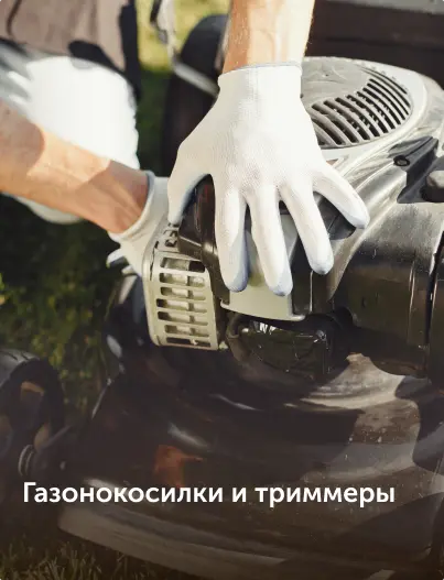 статья