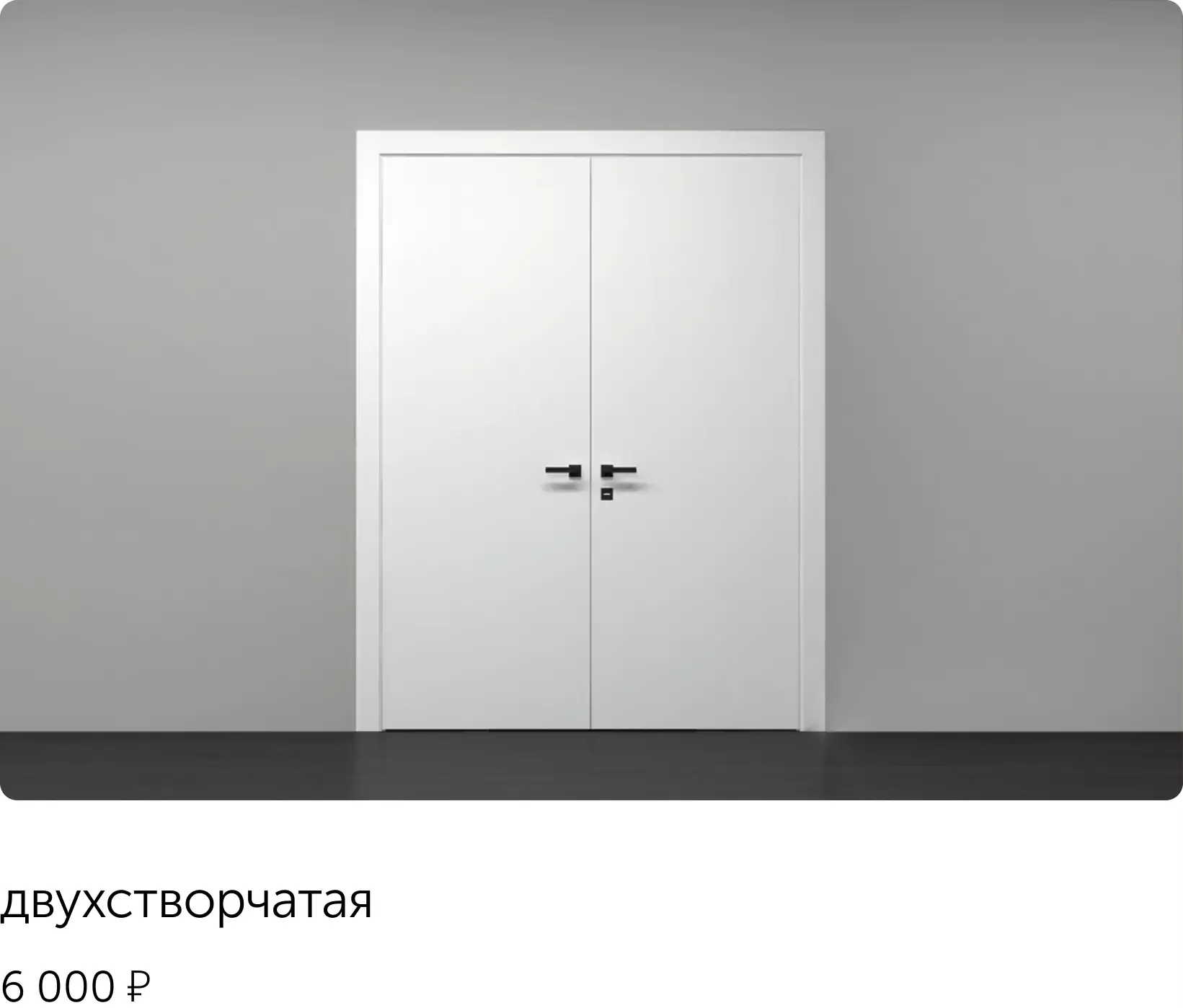 двухстворчатая дверь