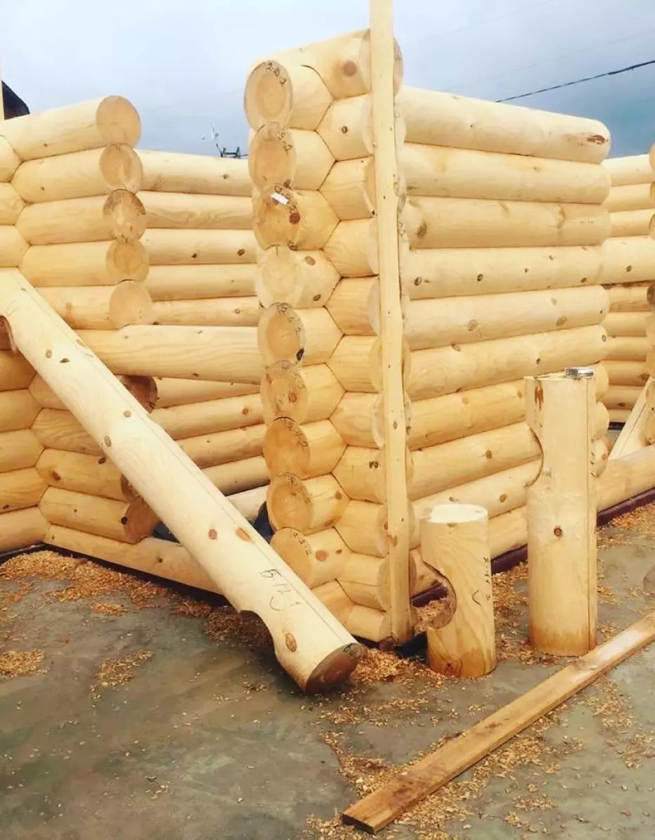 Константинов фото