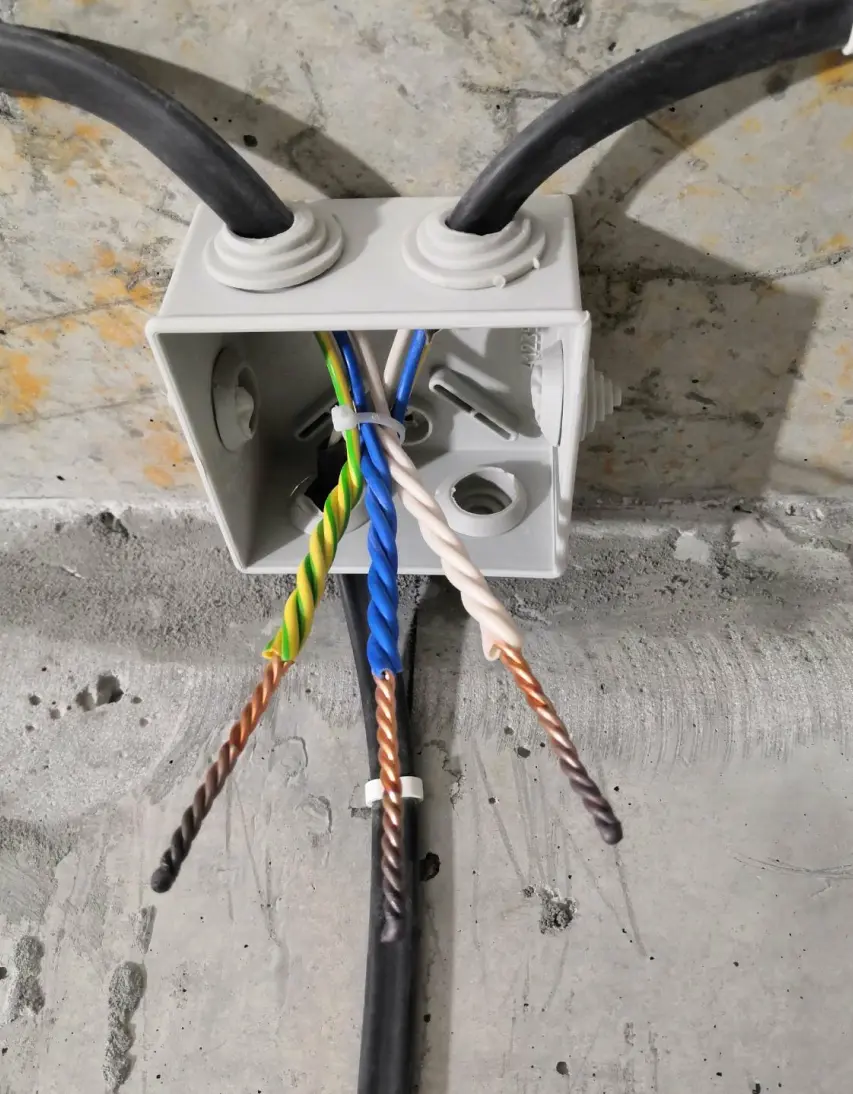 солодовников фото