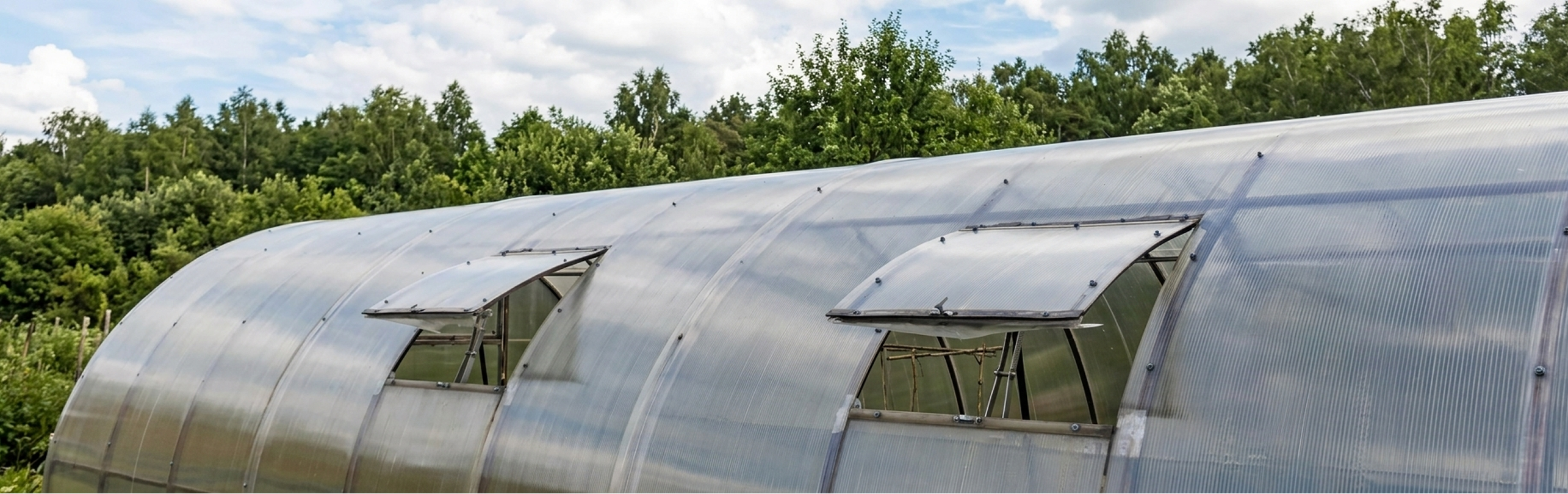 как выбрать теплицу