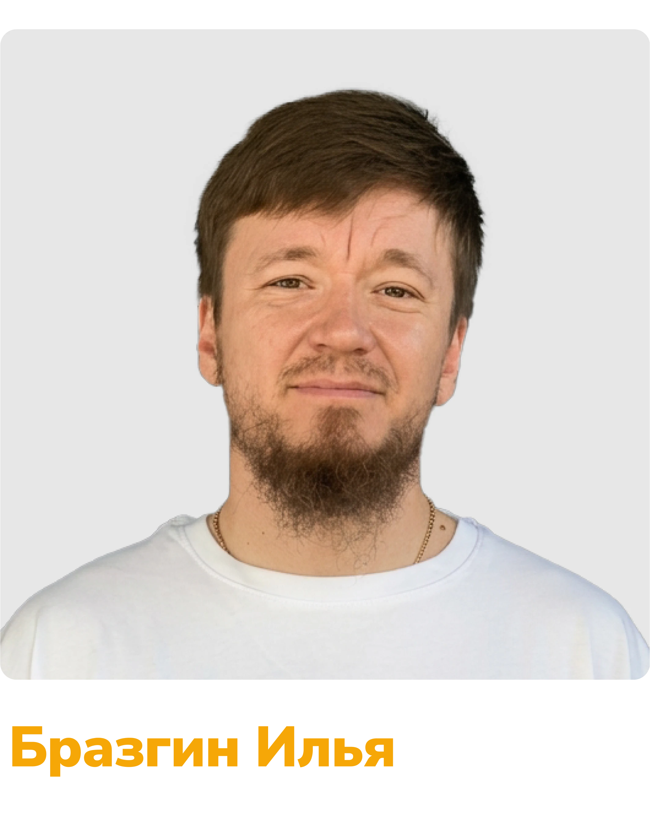 бразгин илья