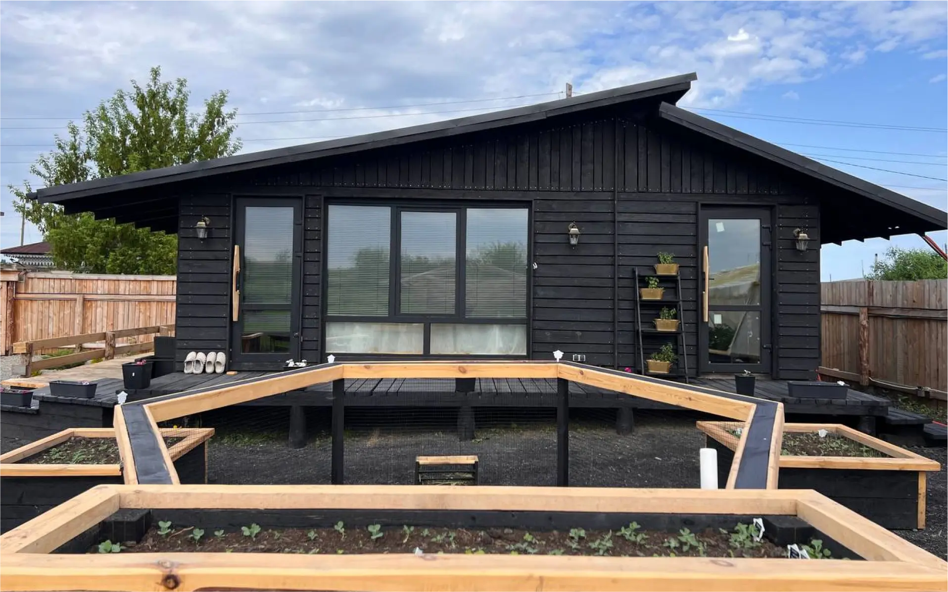 товескин денис фото