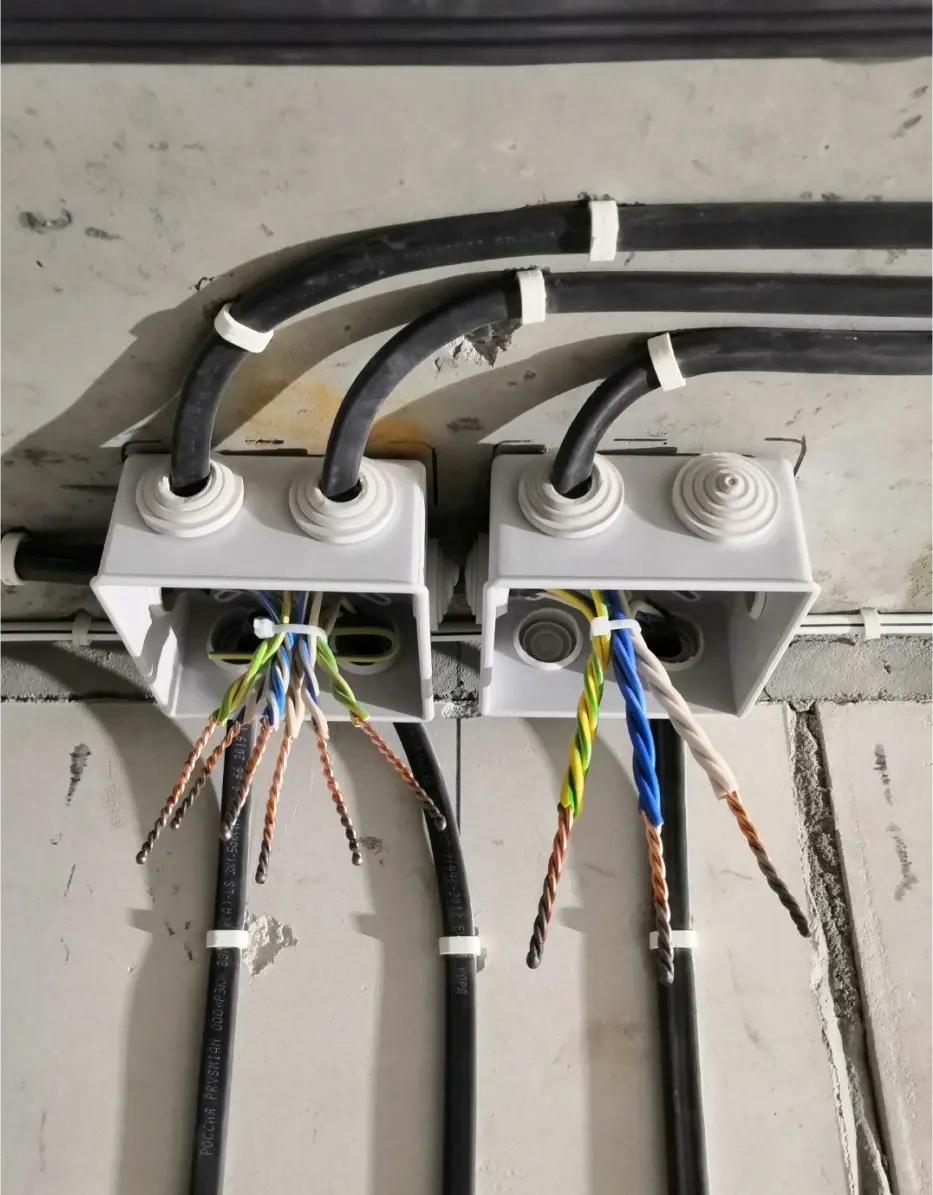 солодовников фото