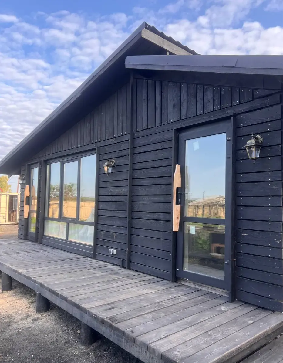 товескин денис фото