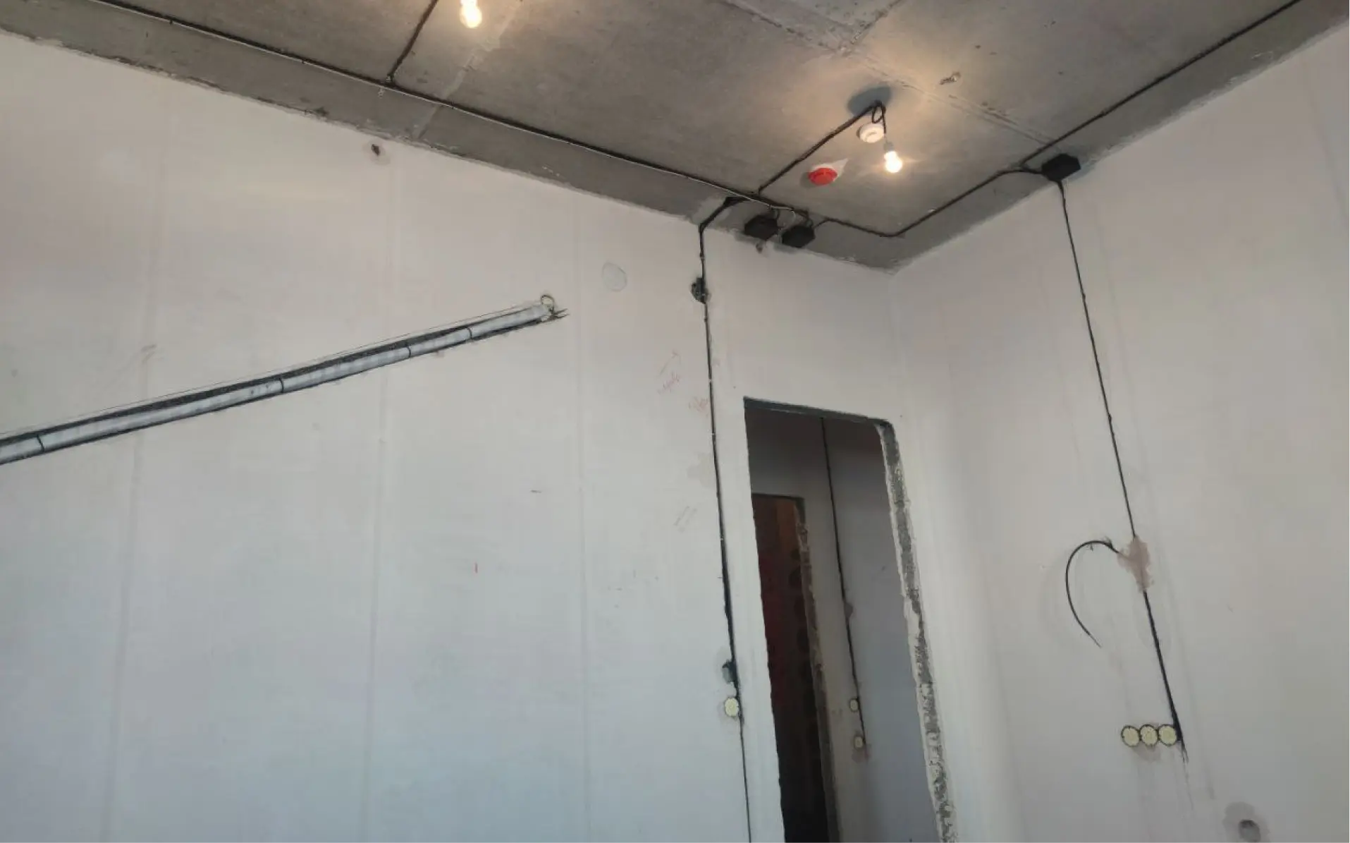 рогов роман фото