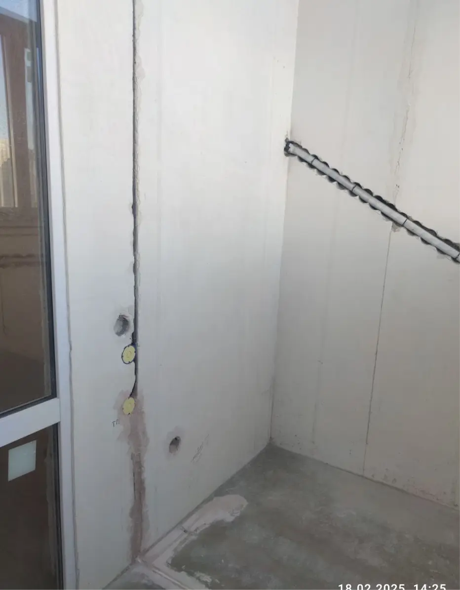 рогов роман фото