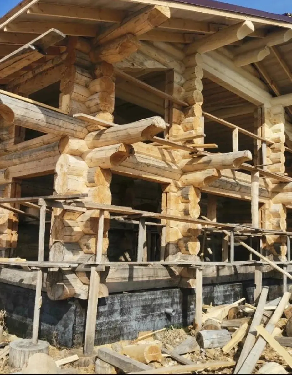 товескин денис фото